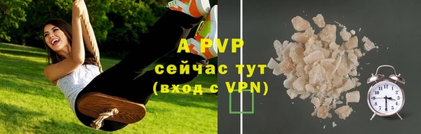 шишки Волоколамск